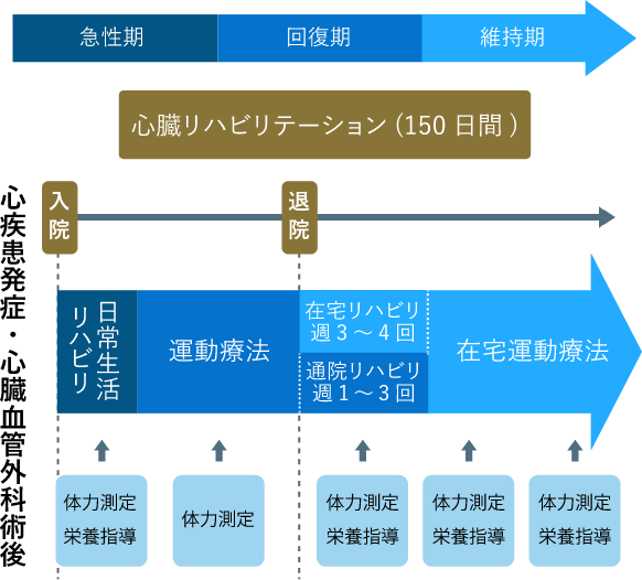 心臓リハビリテーションのプログラムのフロー図